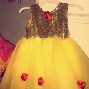 Belle inspired Fancy Dress 2T